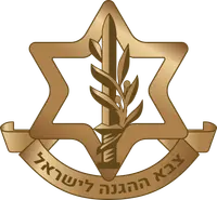 Israel Defense Forces, image 2 of 2