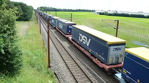 DSV