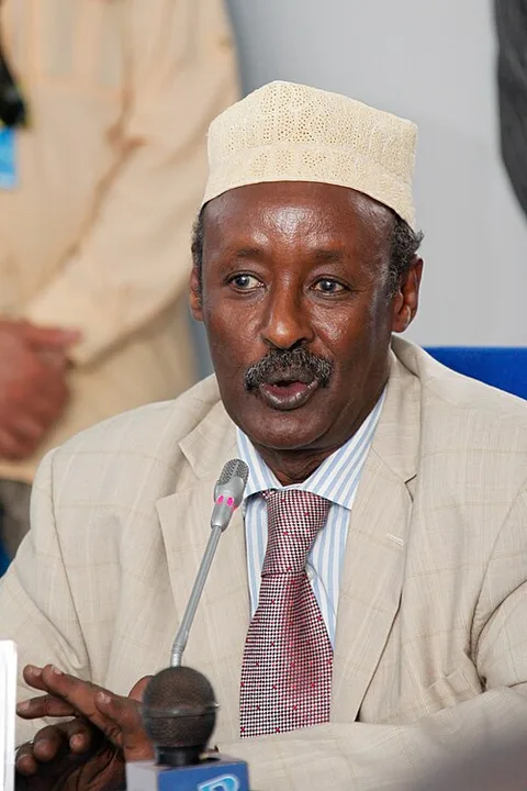 Mohamed Ahmed Alin