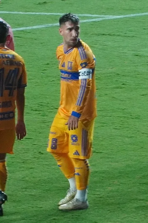 Fernando Gorriarán
