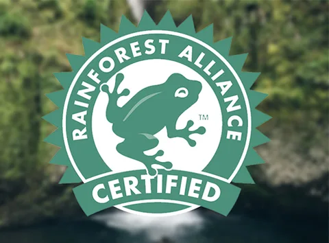 Rainforest Alliance
