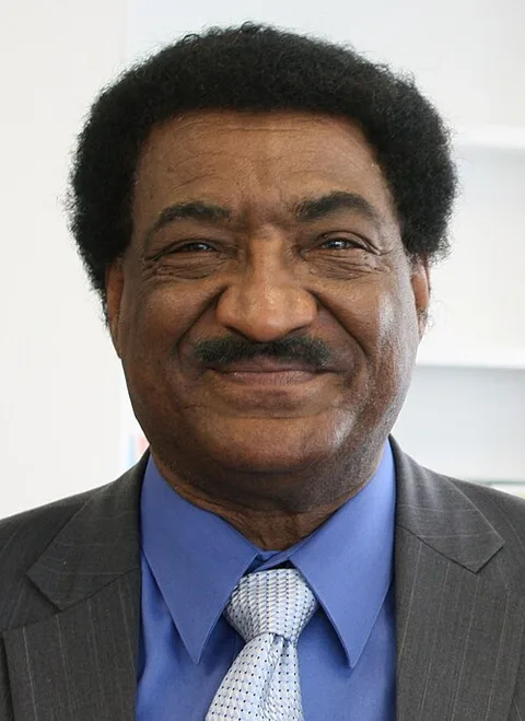 Abdelmahmood Abdelhaleem