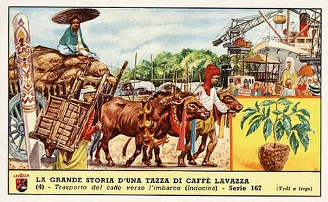 Lavazza