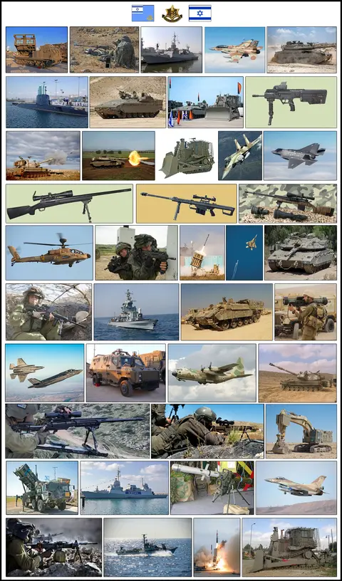 Israel Defense Forces